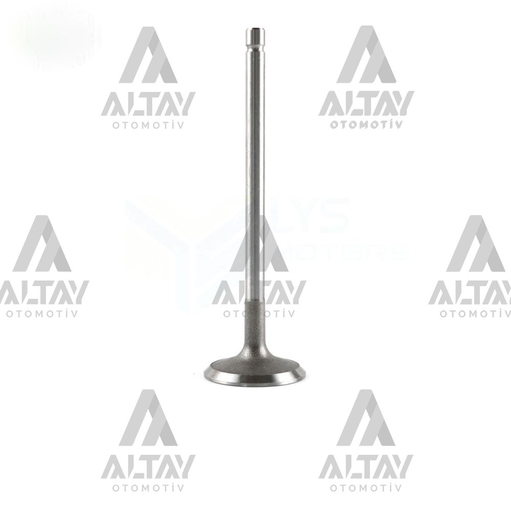 Peugeot 1007 Supap Takım OEM 0948E0/0949C5 Peugeot 1007 Supap Takım OEM 0948E0/0949C5